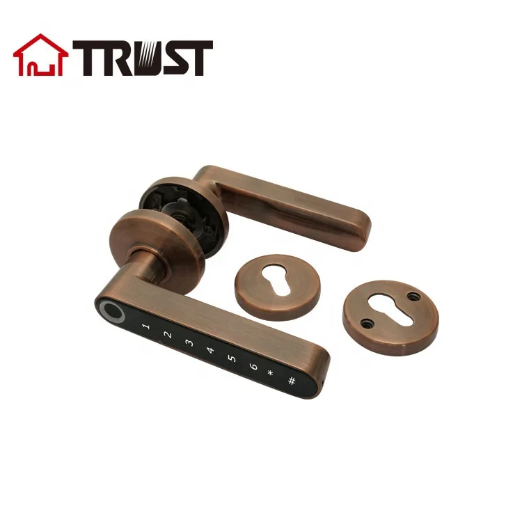 
TRUST 9402-AC Biometric Fingerprint Zinc Alloy Smart Electric Handle Door Lock For Home 