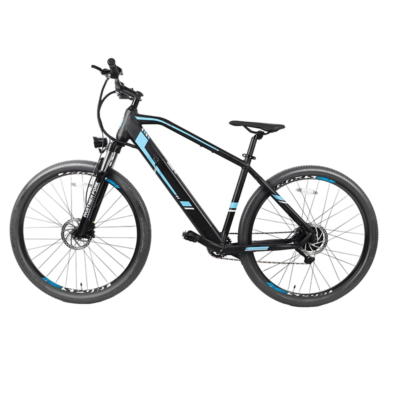 New Arrival 29 inch adult MTB Hub Motor 36V 350W 9 speed Electric Mountain bike with Lithium Battery