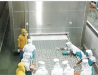 fish fast freezing machine/squid iqf quick blast freezer/tunnel freezer