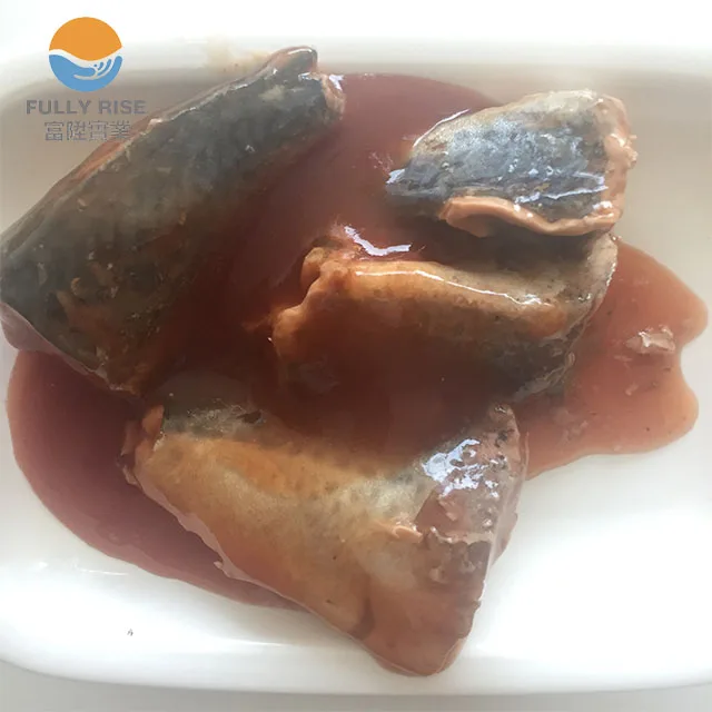 Canned jack Mackerel in tomato sauce in can to Chile