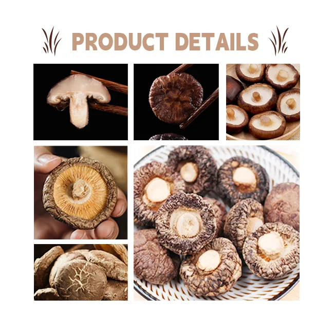 dried shiitakes mushrooms