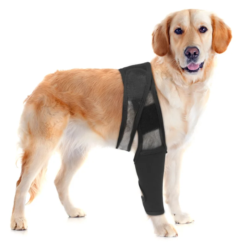Dog Elbow Protector Rear Leg Dog Elbow Pad Protects Wounds Dog Knee Guard Knee Brace For Back Leg Protects Wounds