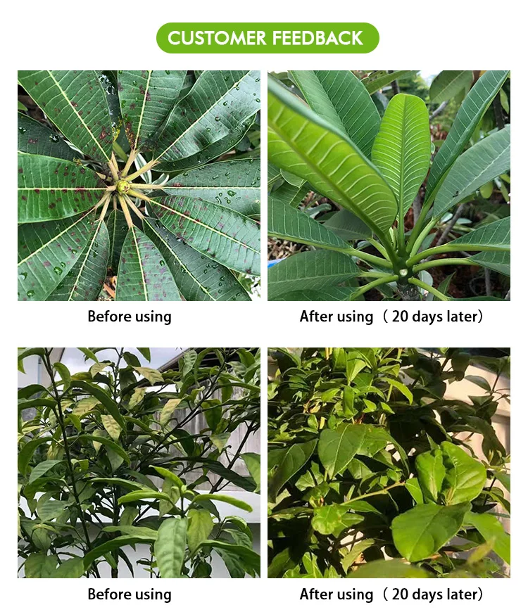 Dinghao Magnesium Sulphate  Kieserite Fertilizer