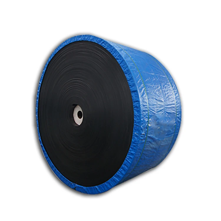 Proper Price Top Quality Industrial Nylon Conveyor Belts Bothwin Thicjck Conveyor Belt Rubber Sheet