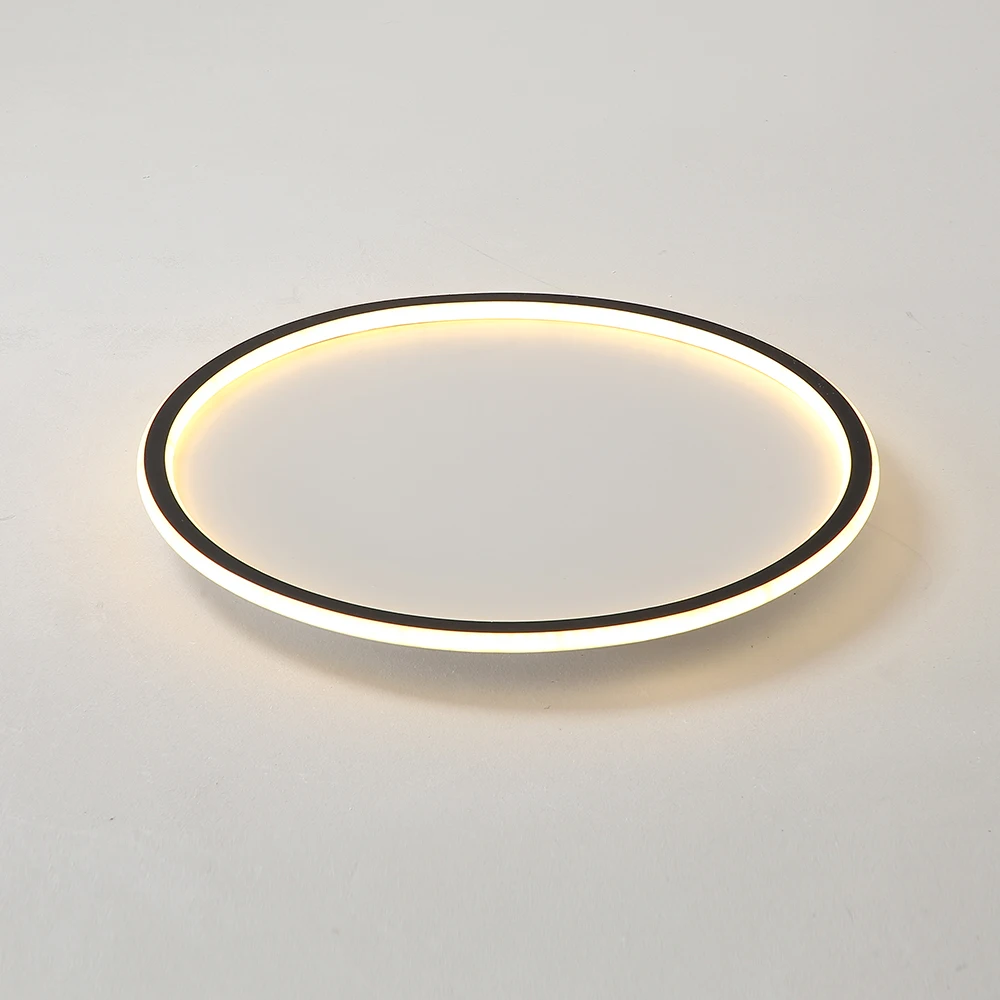 
Waterproof round suspended indoor and outdoor use for bathroom hallway balcony of led ceiling light 