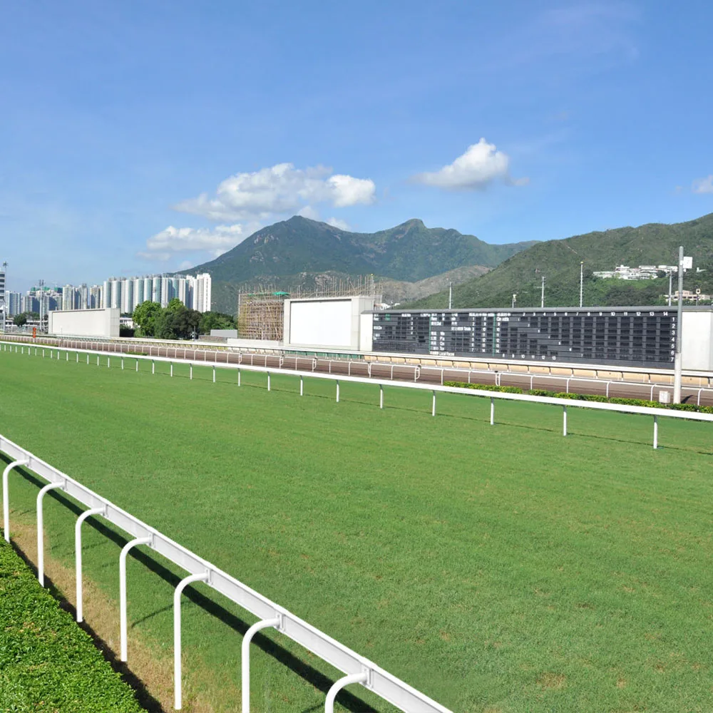 Fentech top quality used white plastic  horse running rail for sale