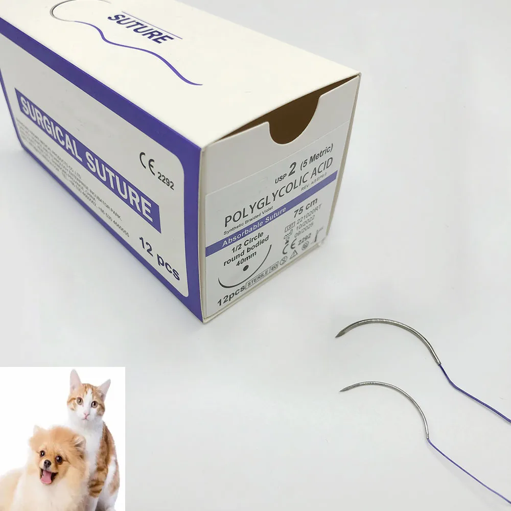 _20230421224908 .jpg