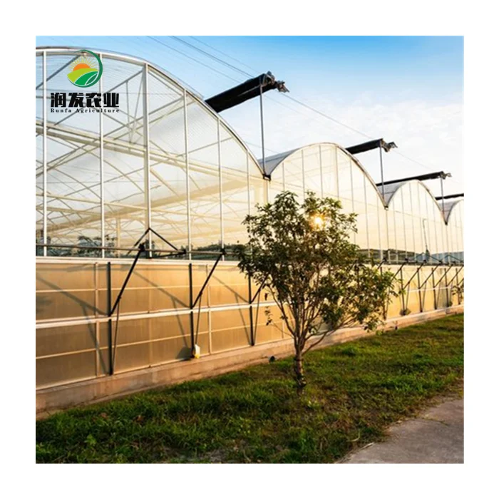 Agriculture Manufacturer Tunnel Multi-Span Arch Plastic Film Greenhouse System Turnkey Project