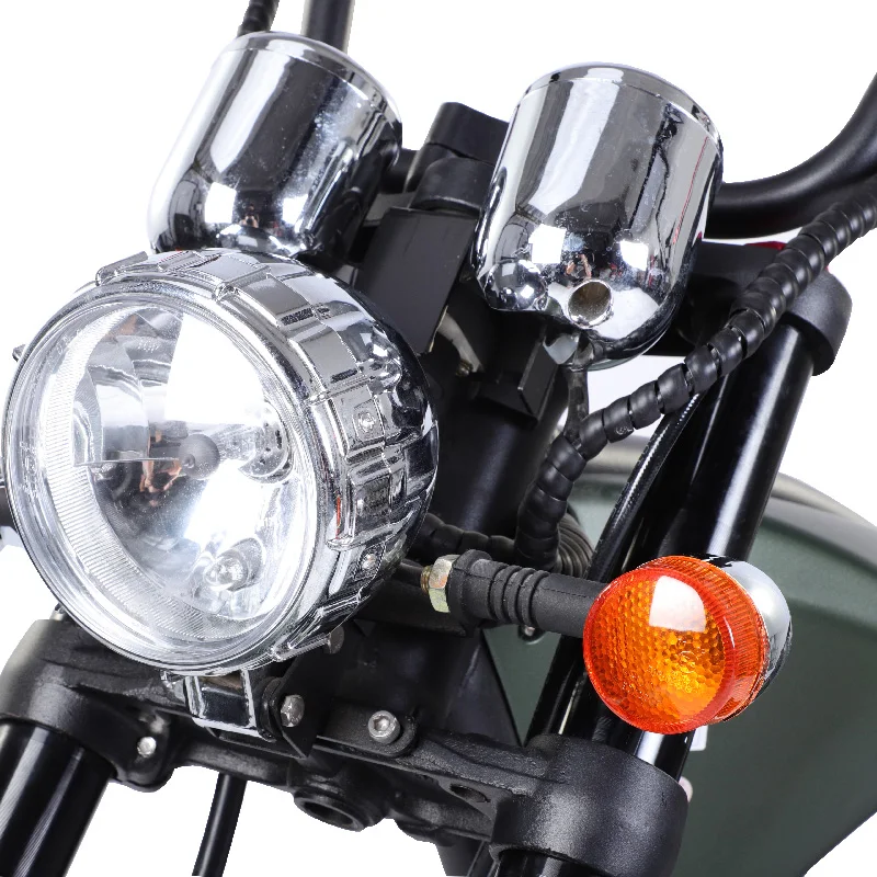 PLANT Direct electric citycoco scooter mobility motorcycle 1500W 2000W 60V20A EEC electric bicycle