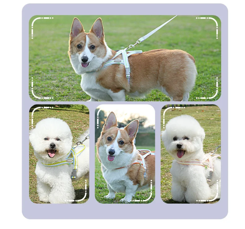 Manufacturer Supplier Zinc Alloy D Ring Breathable Mesh Soft Handle Portable Dog Harness