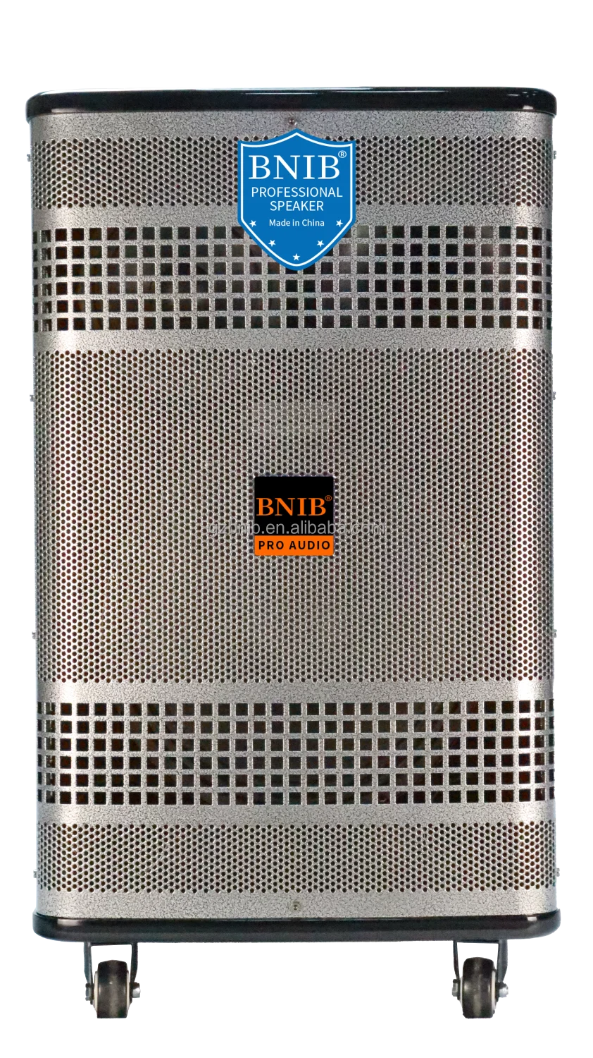 2022 New Products ODM Party Speaker Dancing Woofer Speaker With Mic Outdoor Speaker Display Wholesale