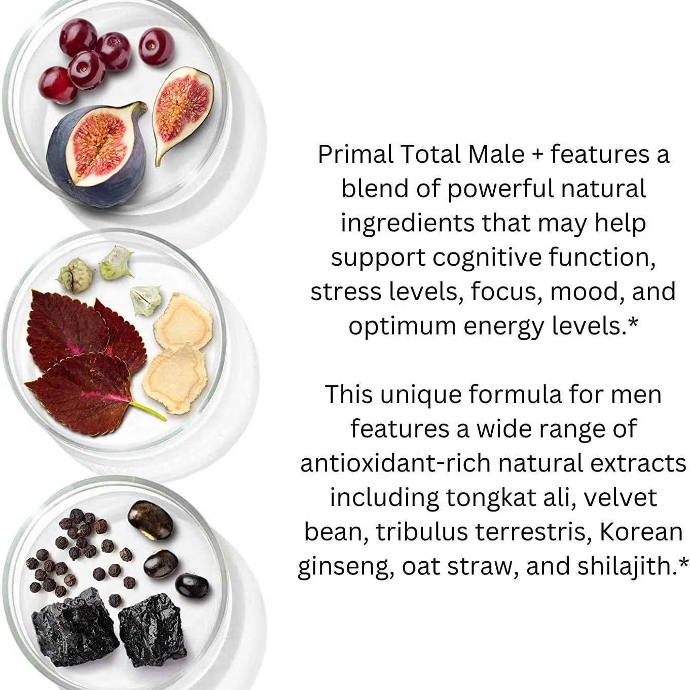 Eherb  OEM Private Label Energy Ginseng Extract Ginseng Capsules For Men