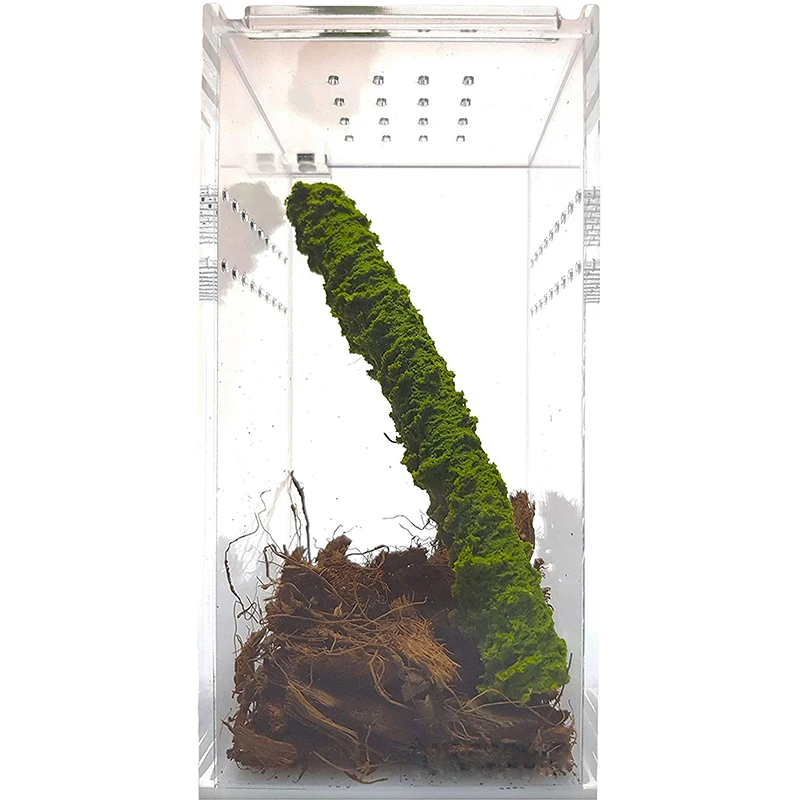 Magnetic 3x3x6 inch Acrylic Reptile Terrarium Cage Tank Box