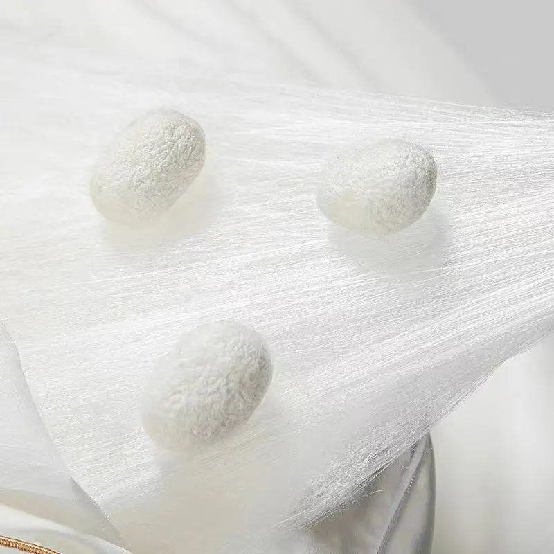 Natural Soft High Grade Luxury Brocade Floss Pure Silk Duvet Cover Silk Filled Comforter 100% Mulberry Silk Quilt