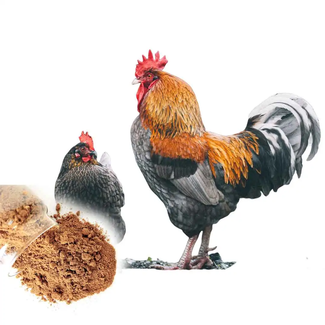 Bulk Sale Mealworm Protein Powder Like Cricket Flour As Supplement Sport Nutrition