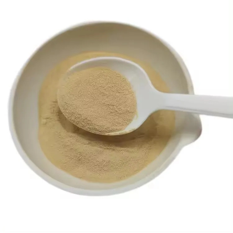 High quality High Protein 60% Best Selling Extract From fresh Yeast powder