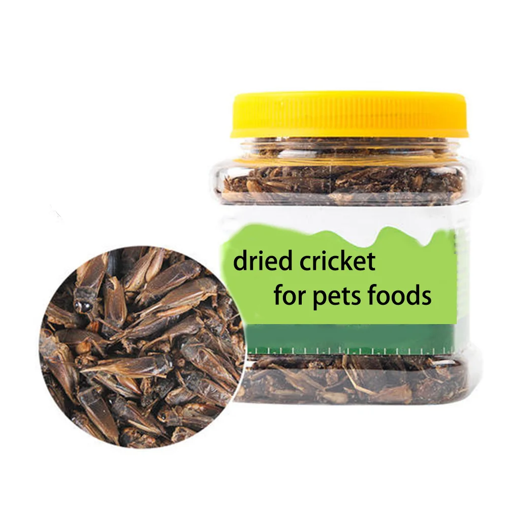
factory private label natural high quality pet food Dried Crickets for reptiles fish bird food 