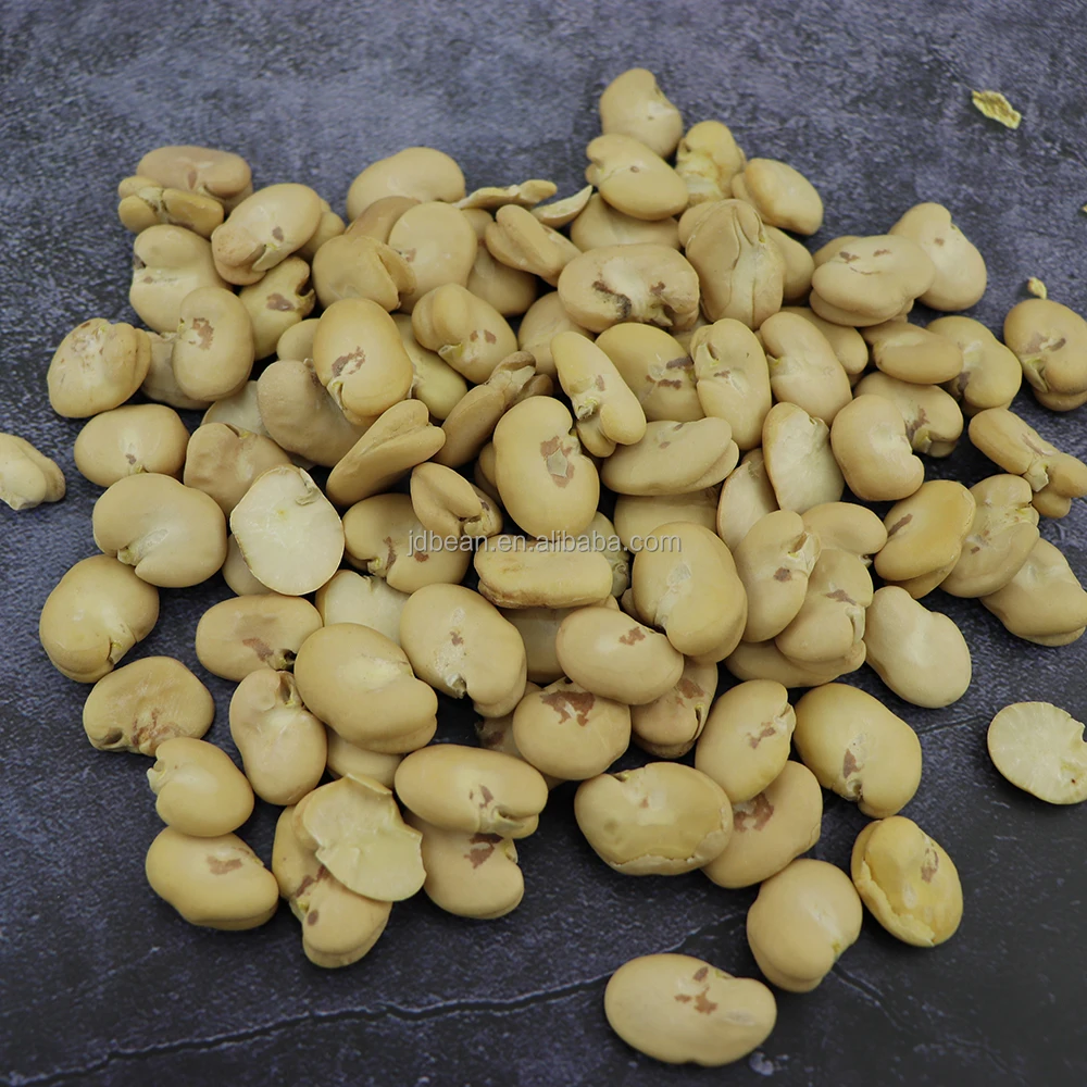 Raw Dried Double Peeled Broad Beans Fava Beans Price