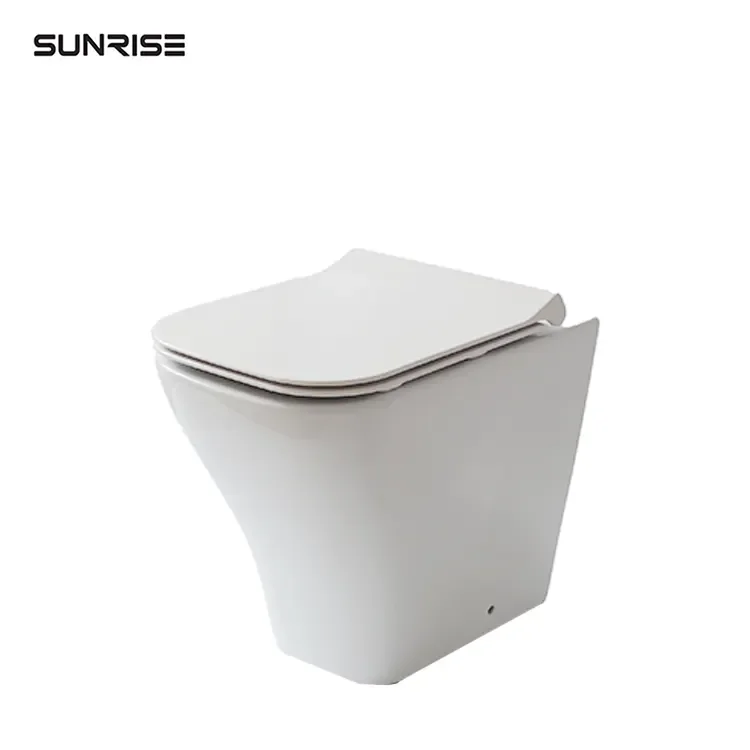 Custom One-Piece White Ceramic Toilet Seat with Shower Modern Design Chinese P-Trap Bathroom Size Back Wall Toilet
