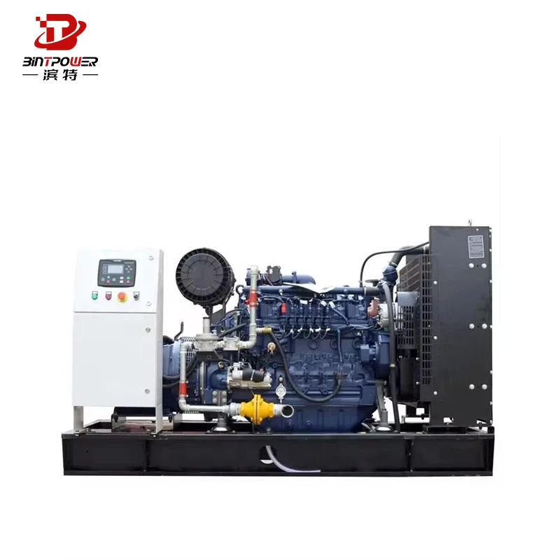 200Kw Natural Gas Generator Set Water-Cooled With High Temperature Resistance Electric Start For Lpg Biogas Turbine Generator