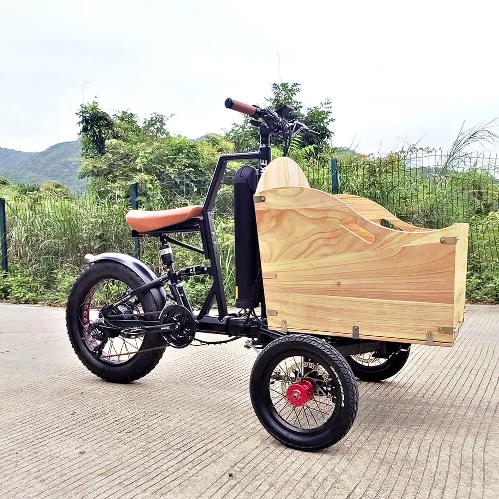 family e cargo bike 3 wheel cargo bike dutch electric cargo-e bike adult electric ebike e-cargo family e bicycle