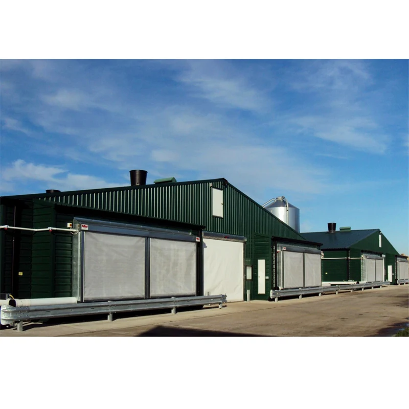 Automatic Broiler House Poultry Shed Design for chicken farm