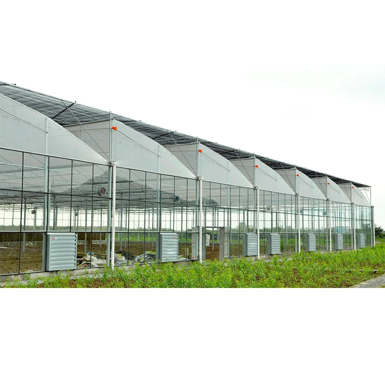 greenhouse transparent multi PE cover film 150 micron UV treated blue greenhouse film plastic film