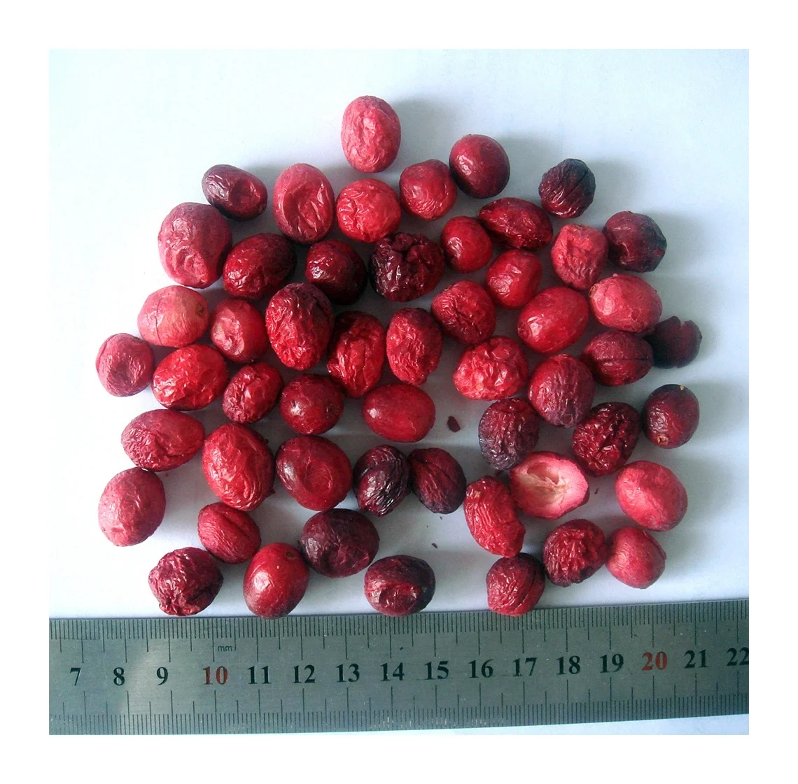 BRC certified factory supply bulk packing healthy freeze dried fruit FD cranberry freeze dried origin north america