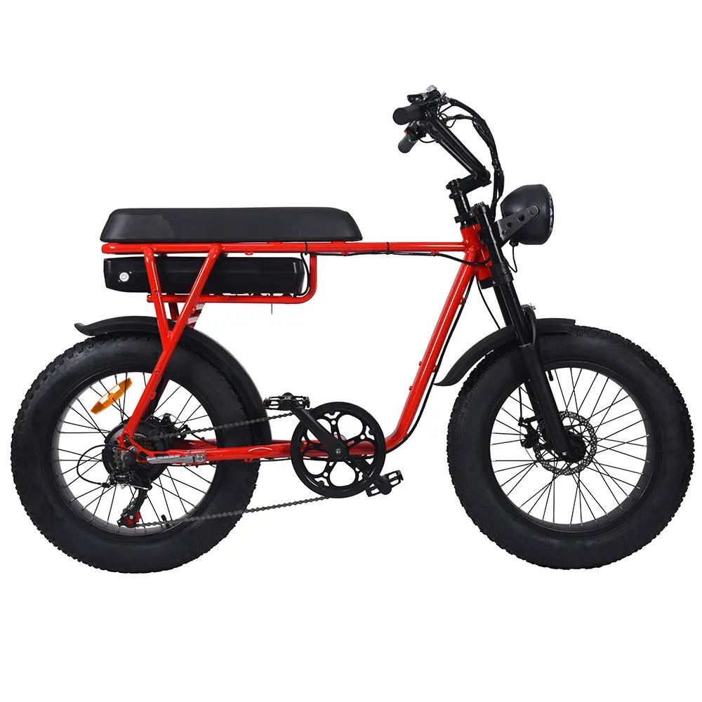 Fat Ebike 20inch Vlo Lectrique Pliant Electric Bikes for Adults Two Wheels 1000w 2 Person Fat Tire Electric Bike