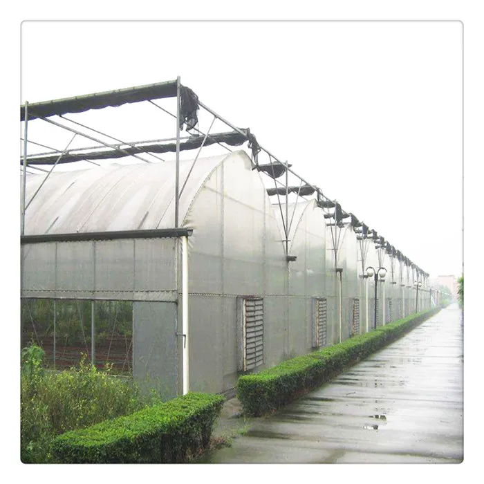  Cheap Price Shading System Plastic Shed Steel Frame Tomato Green House for