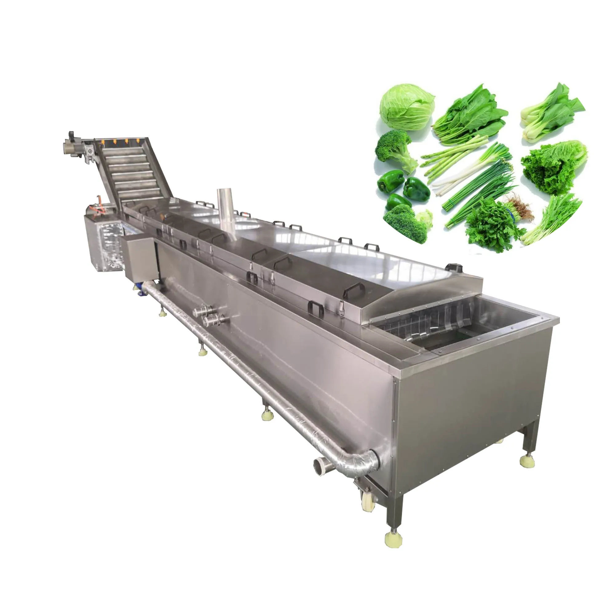 commercial automatic garlic onion fruits potato chips green beans vegetable blancher/green beans fruits blanching machine