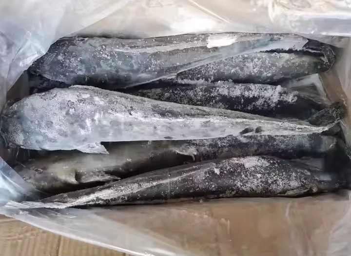 HGT frozen catfish WR  China Supply Frozen Catfish