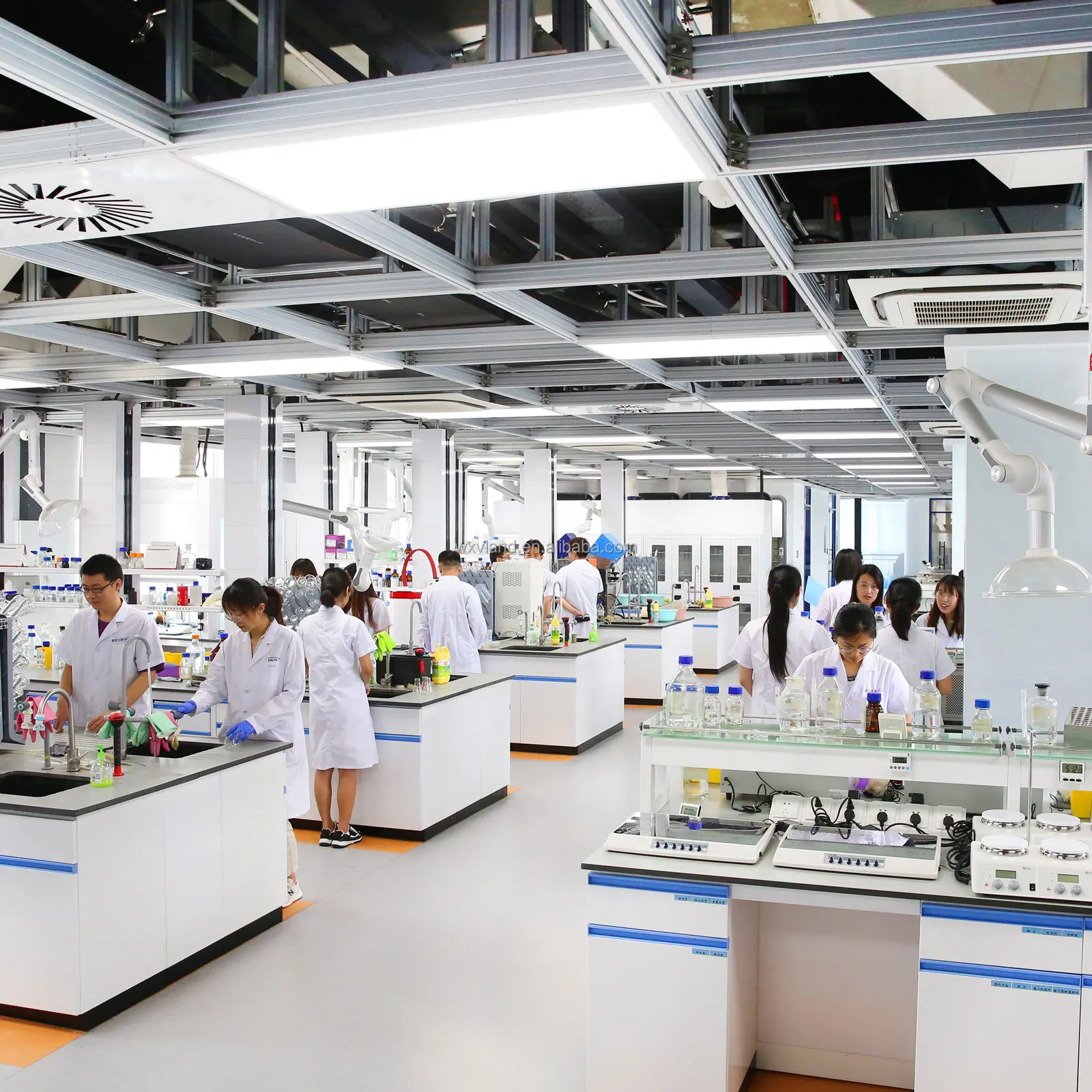 Lactase Enzyme High Activity Food Additives