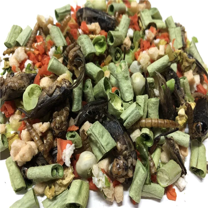 Customized freeze dried omnivore mix food for reptile, animal feeding