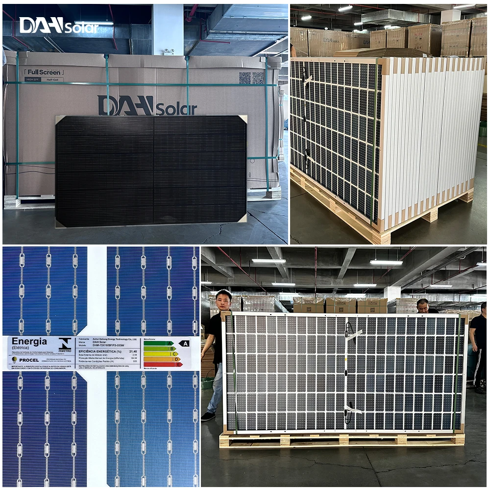 DAH Solar TOPCon N Type Trina Solar Module 600w 605w 610w 615w 620w 625w 630w Double Glass Panel Solar