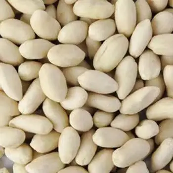 Best Quality Hot Sale Blanched Peanuts Kernels Groundnut Peanut Kernel Snack Dried Style Food Grade at Good Price
