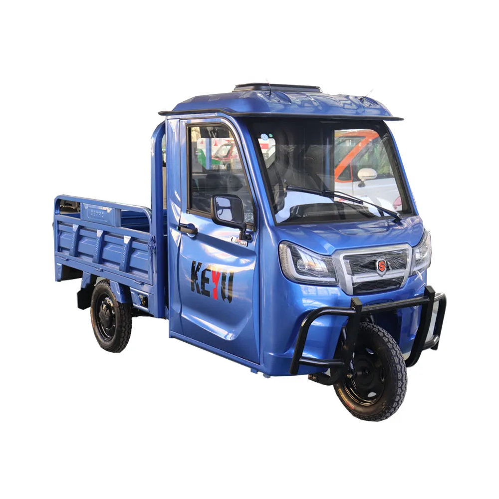 mini ev cargo truck 5 kw 500km ev cargo van 2024 OEM long range ev cars