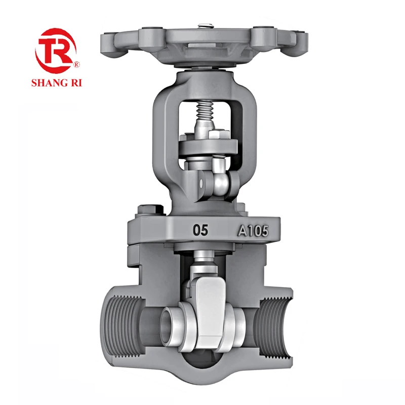 
API CE Factory Hot Sale High Pressure Socket Welded Threaded Forged Gate Valve 