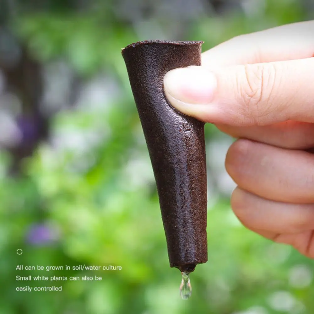 Grow Sponges Seed Pods Replacement Root  Compatible Seedling Starter Sponges Kit Refill Grow Sponges coco peat bunnings