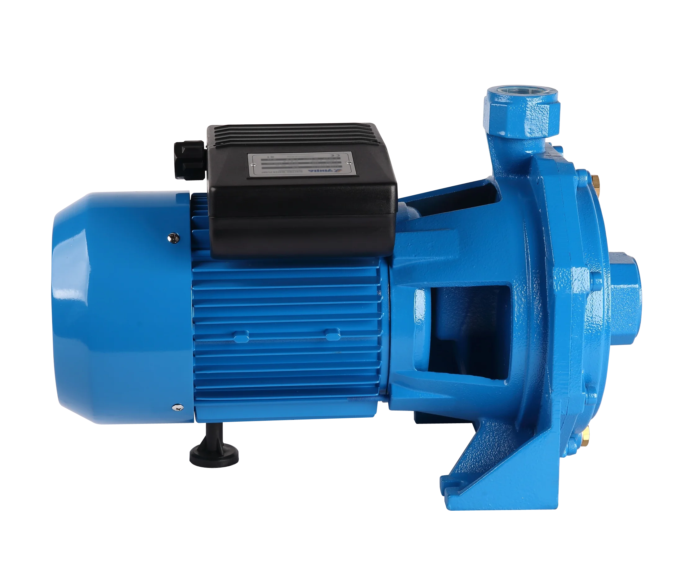 Economical High-Pressure Double Impellers Electric Water Pump Garden Irrigation Motor Power Supply Stainless Steel Iron