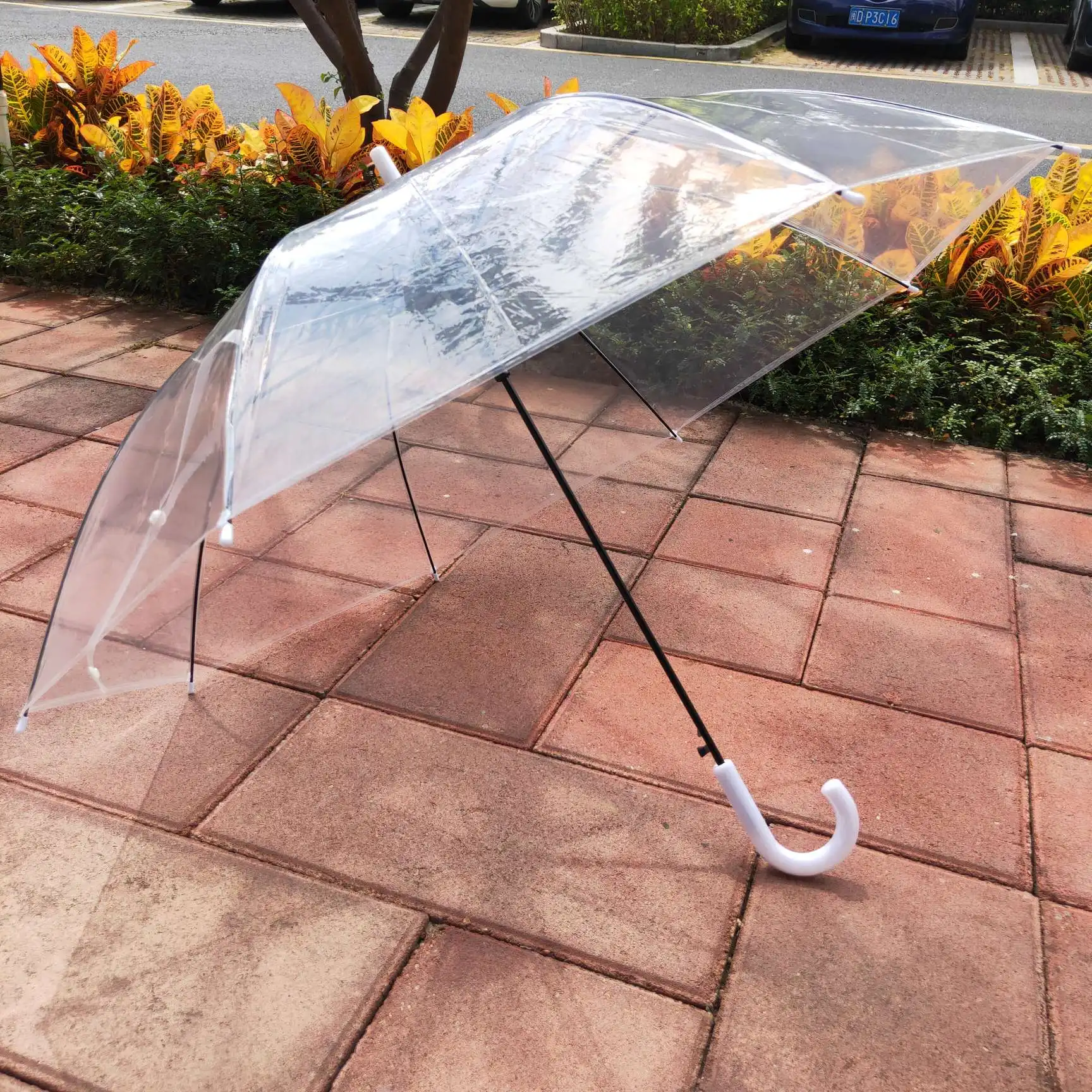 China Umbrella Factory Wholesale cheap POE White Handle Transparent Clear Umbrella umbrellas