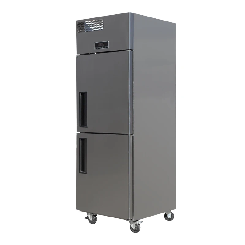 Professional Refrigerator process Commercial Stainless Steel Freezer Refrigeration Equipment Cooler And Refrigerator