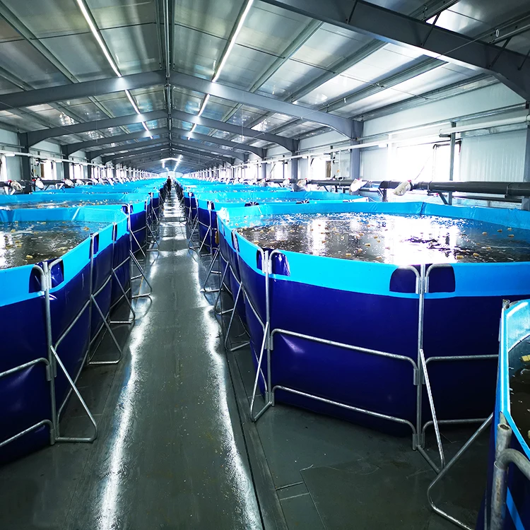 2023 waterproof  10,000L rectangular aquariums equipments PVC fish pond tank indoor fish farming equipment for sale