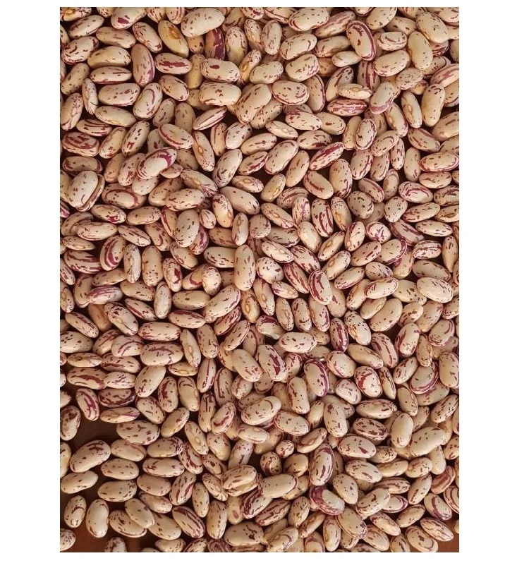 Высококачественная зернистая фасоль для здоровья, распродажа