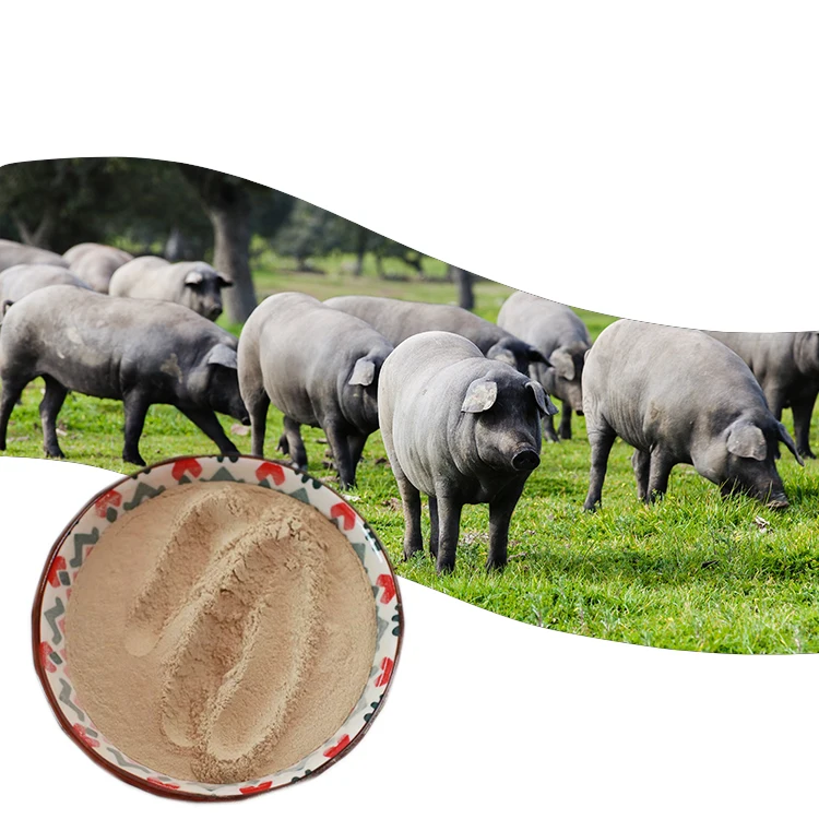 Best Growth promoters,Pig feed grade composite enzyme,Nutritional supplements
