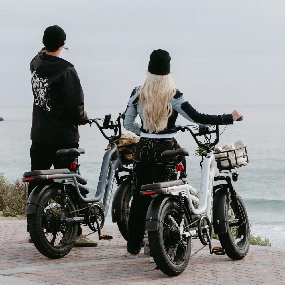 Fucare White Libra 48V 750W High Power Motor Max Speed 52km/h Aluminum Alloy 20 Inch Fat Tire Bike with Two Seats for Children