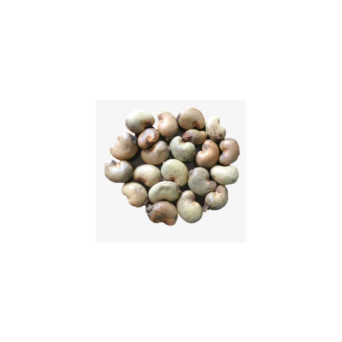 Rich protein vegetable protein cashew nut Cashews Nut Supplier Offers Benin Raw Cashew Nuts Cooking Raw Origin In Shell