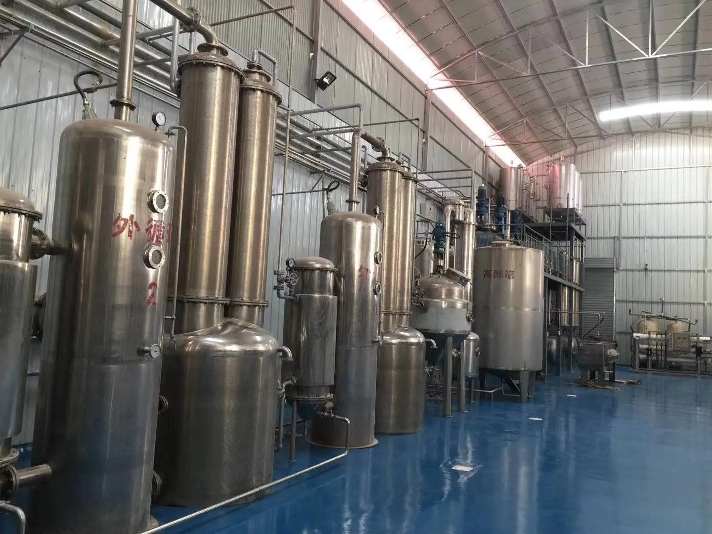 
Supply Food Grade Ganoderma Lucidum Extract Powder For Improve Immunity 