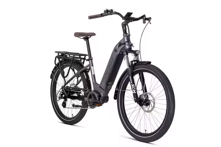Electric City Bicycle 36V Lithium Battery Smart Digital Dirt Bike Cycle 48V Off-Road Mountain Ebike