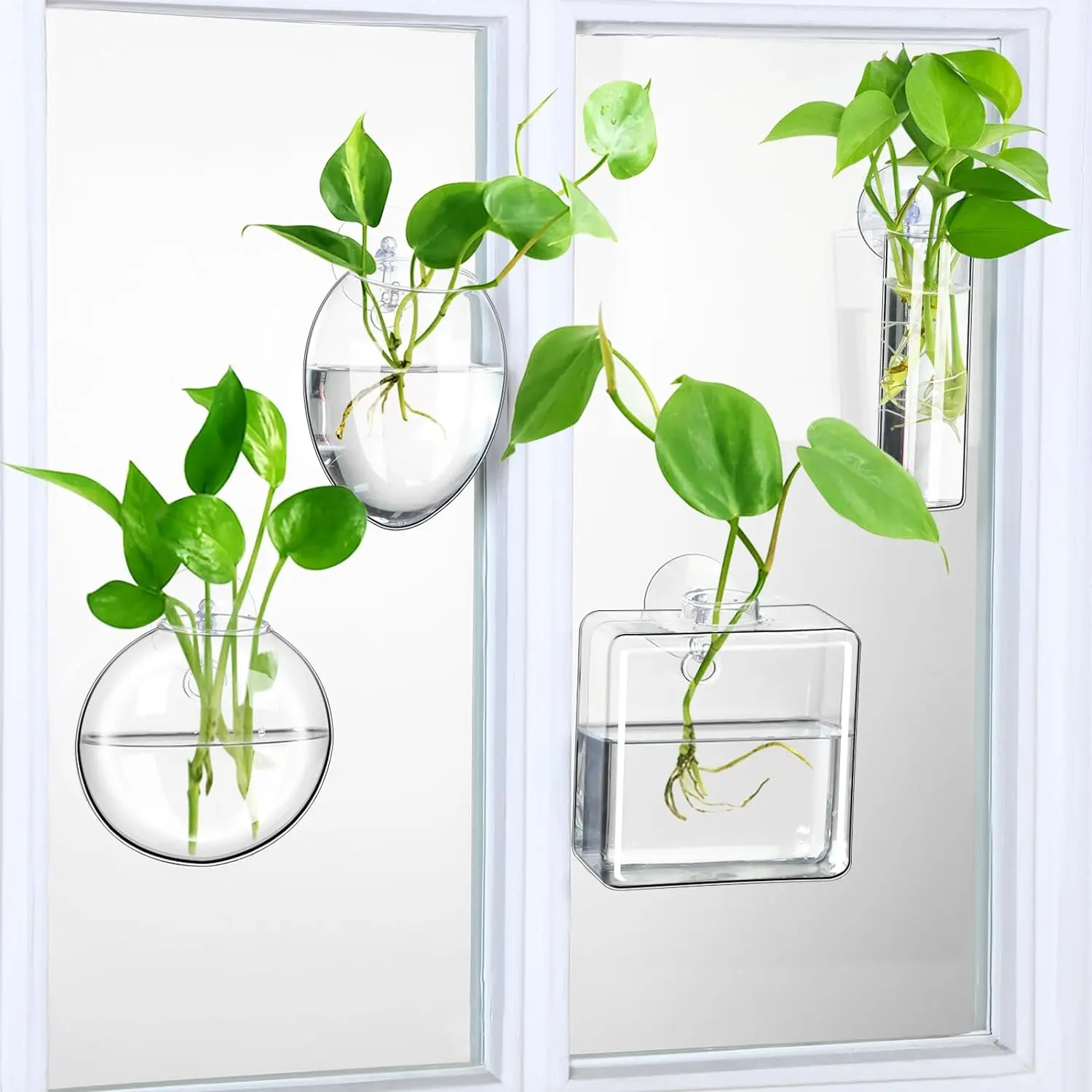 Office home decoration transparent terrarium plants glass wall hanging plant terrarium hydroponic